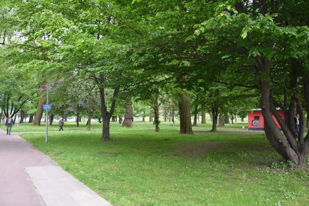 Apartment Locarno-Lido Екстериор снимка